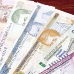 lempiras2341290358140839471