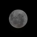 rat-nasa-luna-0504264437146818233329634